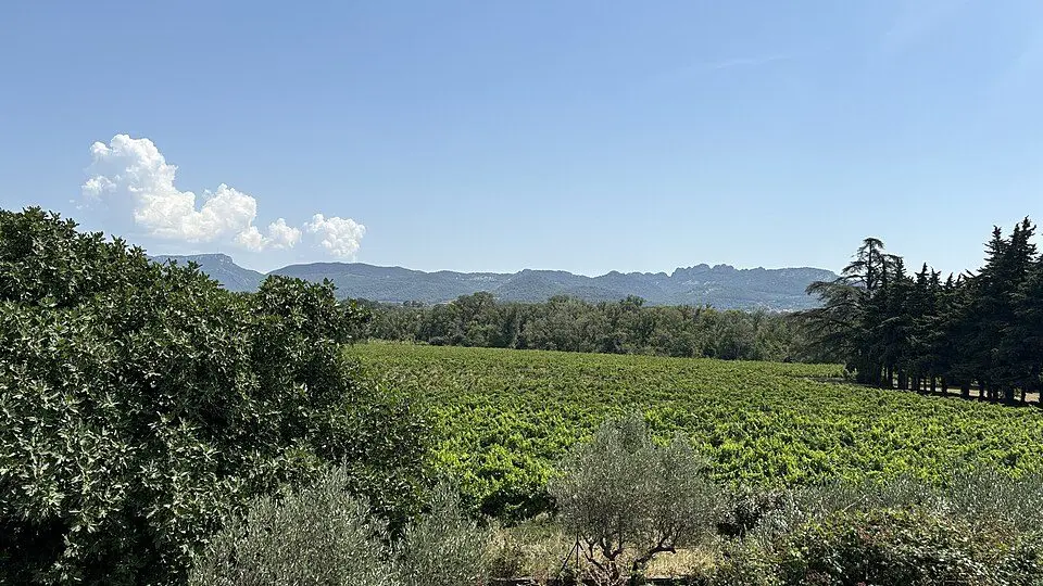 Mont Ventoux et Dentelles de Montmirail