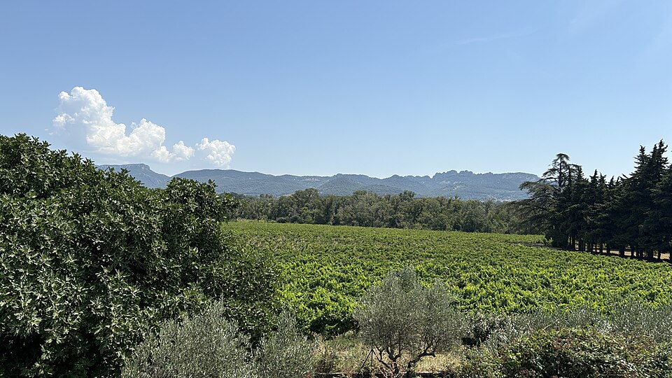 Mont Ventoux plateau de Vaucluse panorama