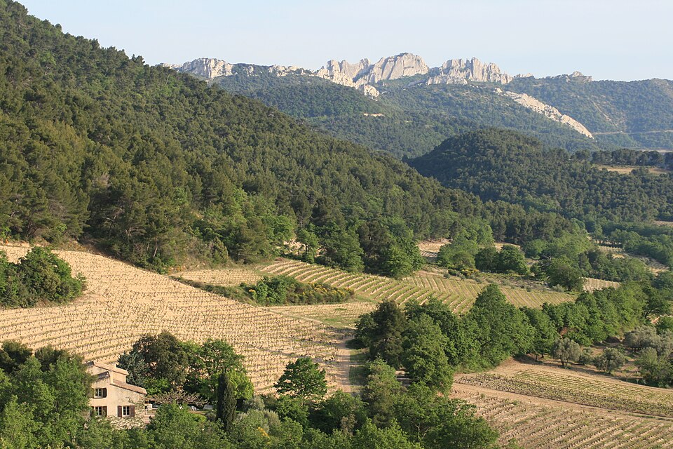 Dentelles de Montmirail paysage Vaucluse