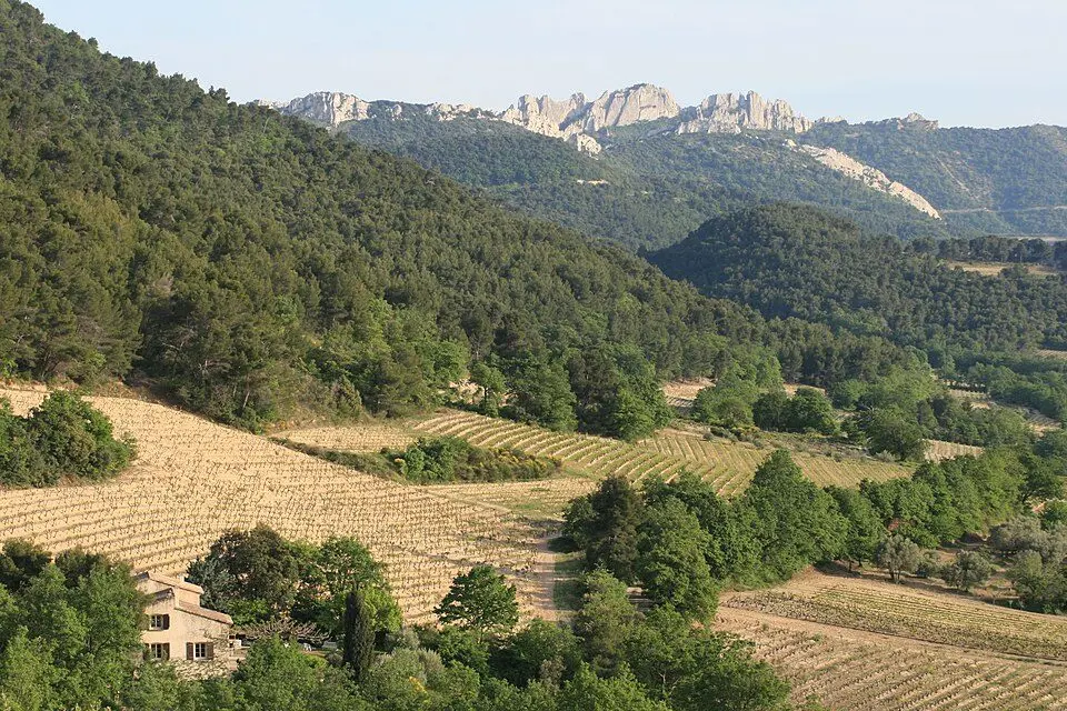 Dentelles de Montmirail paysage Vaucluse